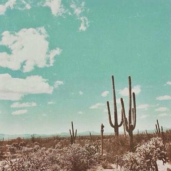 THE GREAT PURGE! - Picture 3 of 3